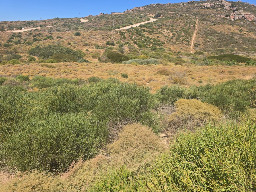 0 Bedroom Property for Sale in St Helena Views Western Cape